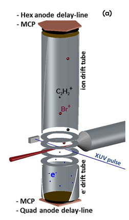 Figure 2: Diagram of the double-sided VMI Spectrometer used in our setup, with the molecular beam in red. [1]