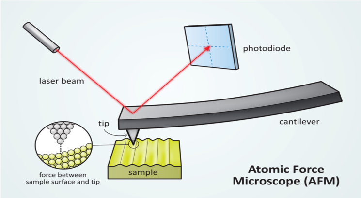 Figure 6. How AFM imaging works