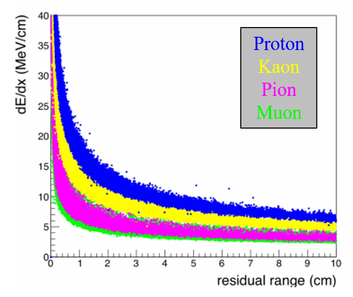 Plot of dE/dx versus the residual range for different types of particles as simulated by Geant4 [2].