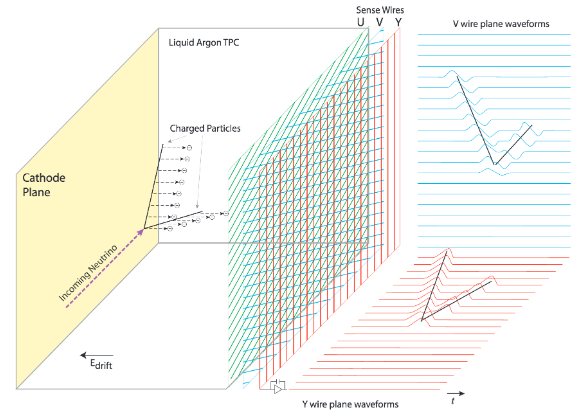 Figure 1: A schematic showing how position data is collected in LArTPCs. A neutrino interacts with a nucleus, causing some particles to splinter off and move through the liquid argon. These incident particles knock electrons off argon atoms, after which the electrons drift over to the planes of wires as a result of an applied electric field. [1], fig 1