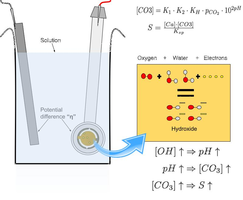 One electrode of a galvanic couple lent electrons to the solution, forming hydroxide in the process. This in turn raised the pH, ultimately increasing the supersaturation of the solution.