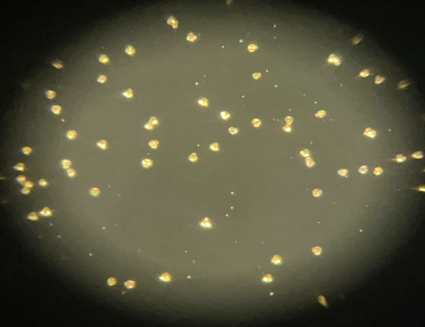 A zoomed-in image of our calcite seed cluster.