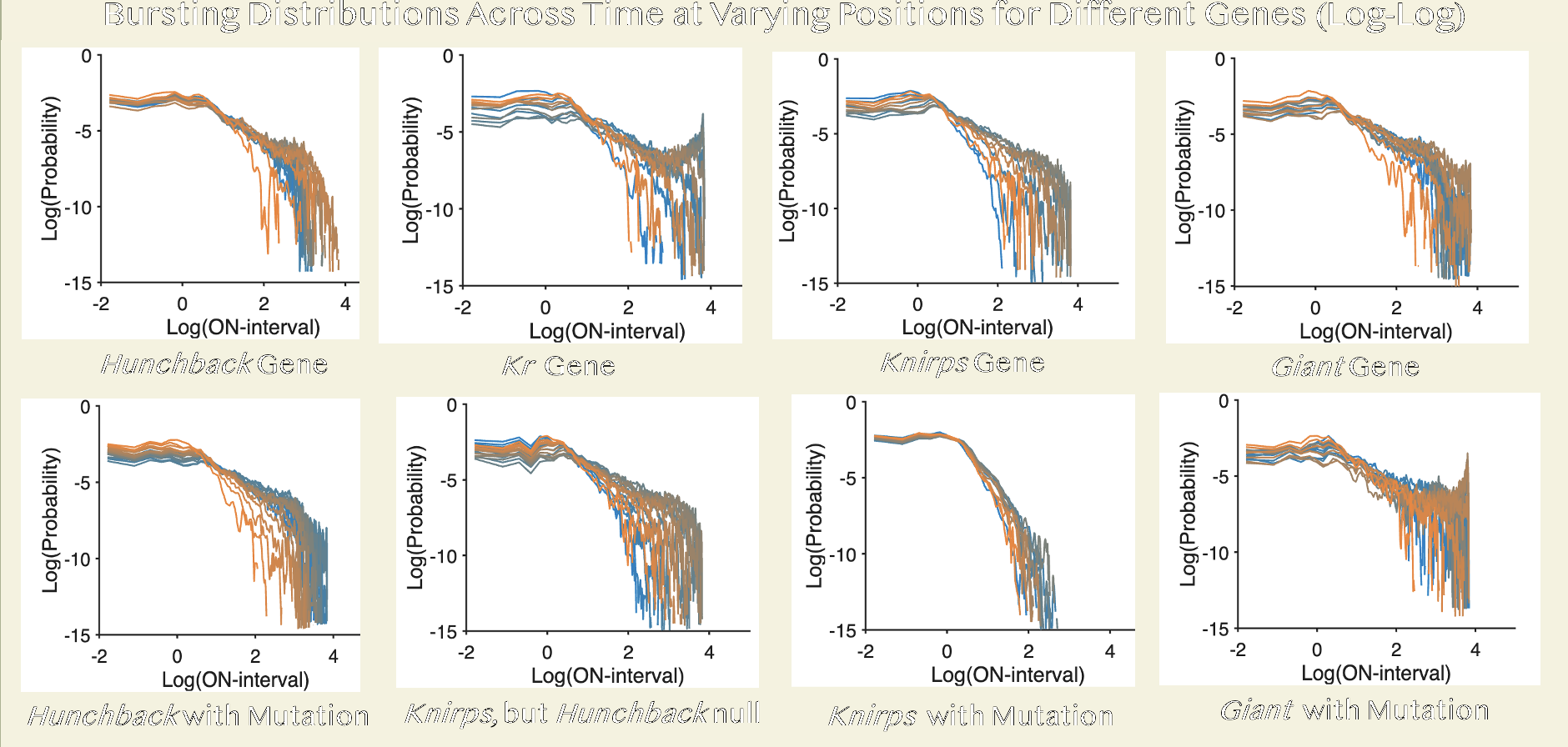 Distributions of Bursts Across Time at Varying Positions within the embryos for Different Genes (Log-Log)