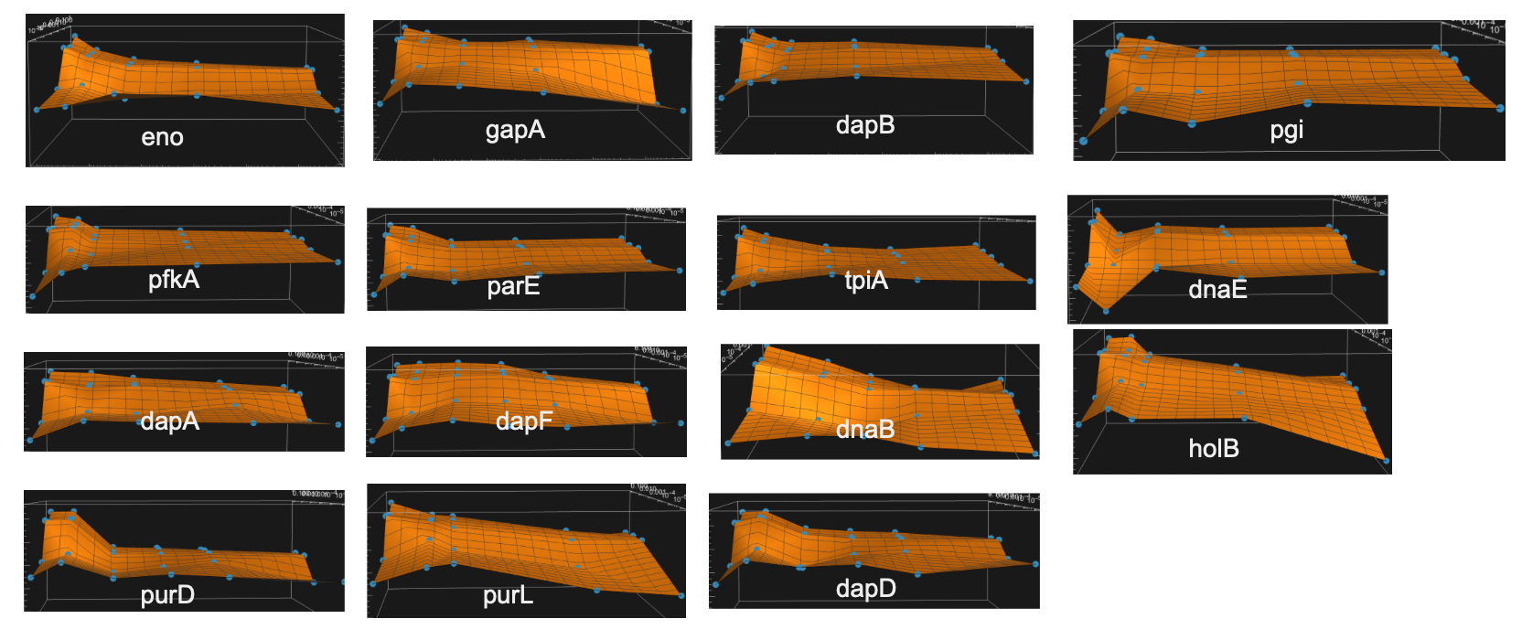 fbaA and dapB showing the pattern of the emerging cliff