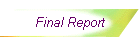 Final Report