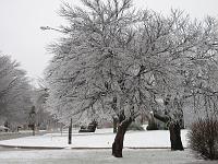 IMG_1090 