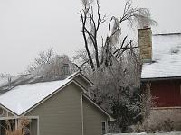 IMG_1091 