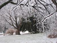 IMG_1095 