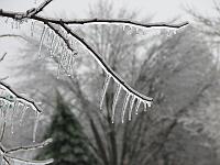 IMG_1101 