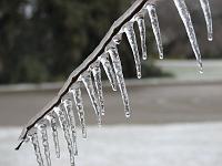 IMG_1103 