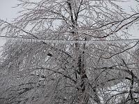 IMG_1114 