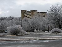IMG_1130 