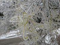 IMG_1135 