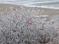 IMG_1138 