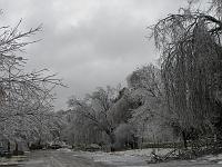 IMG_1139 