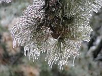 IMG_1144 