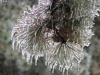 IMG_1145 