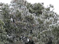 IMG_1151 