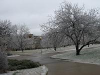 IMG_1154 