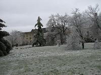 IMG_1155 