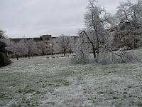 IMG_1156