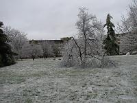 IMG_1157