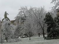 IMG_1159