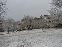 IMG_1161 