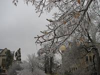 IMG_1162 