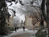 IMG_1170 