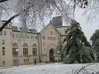 IMG_1171 
