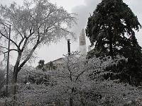 IMG_1173 