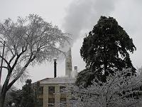 IMG_1174 