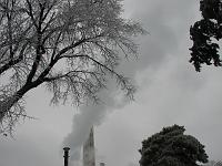 IMG_1175 