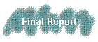 Final Report