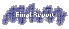 Final Report