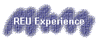 REU Experience