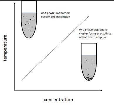 Stability of the YGYGY and HGHGH nanoparticles in water and in